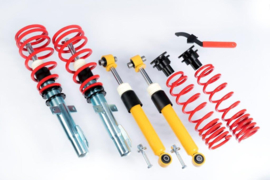 V-Maxx Schroefset X-STREET: RENAULT MÉGANE II (M) 02 > 10.08