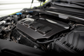 Maxton Design Koolstofvezel motorkap BMW 1 F40 M135i