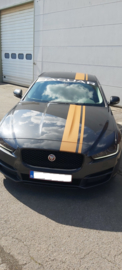 ????????Deze JAGUAR voorzien van een Striping, Side Decals, Zonneband met bijhorende sticker????????