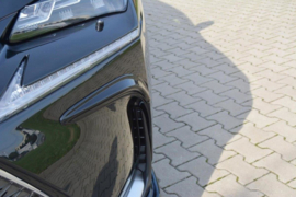 Maxton Design Frames voor lampen Lexus NX Mk1