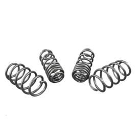 Whiteline Grip-Serie 1 Stabilisatorstang en Verlagingsveer Kit passend voor Volkswagen Golf V 1K1 1.8 GTI/2.0 GTI/3.2 2004-2009