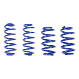 AP Suspension