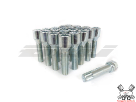 SK-Import Star Wheel Bolts M14x1.25 Steel Silver 45mm