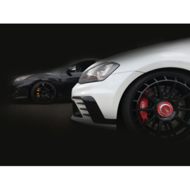 V-Maxx Big Brake Kit: VOLKSWAGEN BEETLE (5C) (Ø50mm of Ø55mm schokdempers voor), 4.11 >