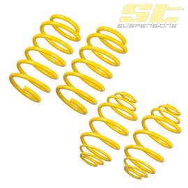 ST Suspensions