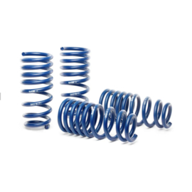 H&R Verlagingsveren passend voor BMW X1 (U11) xDrive 25e/30e 2022- VA25/AA25mm
