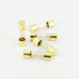 SSDN 80 Amp AGU zekering - 5 stuks - in blister