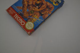 Wrestling (NES FRA CIB)