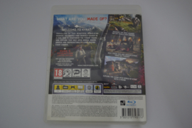 Farcry 4 (PS3)