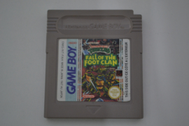 Teenage Mutant Hero Turtles Fall of the Foot Clan (GB FAH)