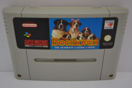 Beethoven - the Ultimate Canine Caper! (SNES NOE)