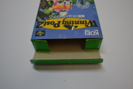 Winning Post 2 (SFC CIB)