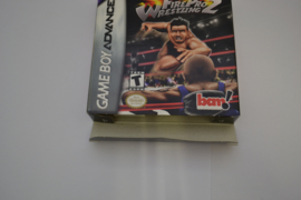 Fire Pro Wrestling 2 (GBA USA CIB)