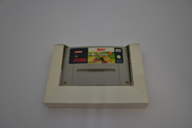 Asterix (SNES FAH CIB)