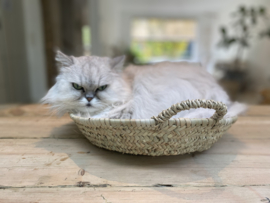 TOMMIES FAVOURITE BASKET
