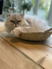 TOMMIES FAVOURITE BASKET