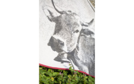 Koe flanellen deken - 140 x 200 cm