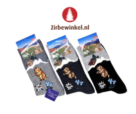 Sokken met Murmeltier - set van 3 stuks - maat 39 - 42