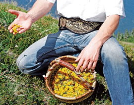 Badzout met goudsbloemen uit Tirol - 150 gram