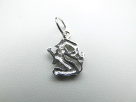 Zilveren sterrenbeeld maagd hanger.