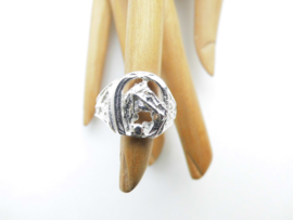 Zilveren hoefijzer paard ring.