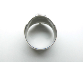 Zilveren vriendschap ring.
