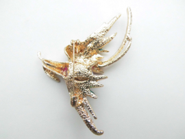 Broche phoenix