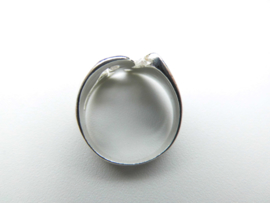Zilveren ohm ring.
