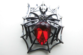 Broche spin in web.