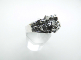Zilveren pietpiet ring.