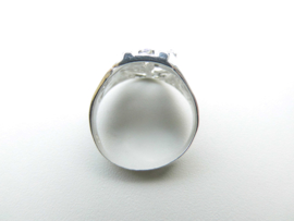 Zilveren hoefijzer paard ring.