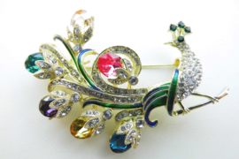 Broche prachtige pauw.