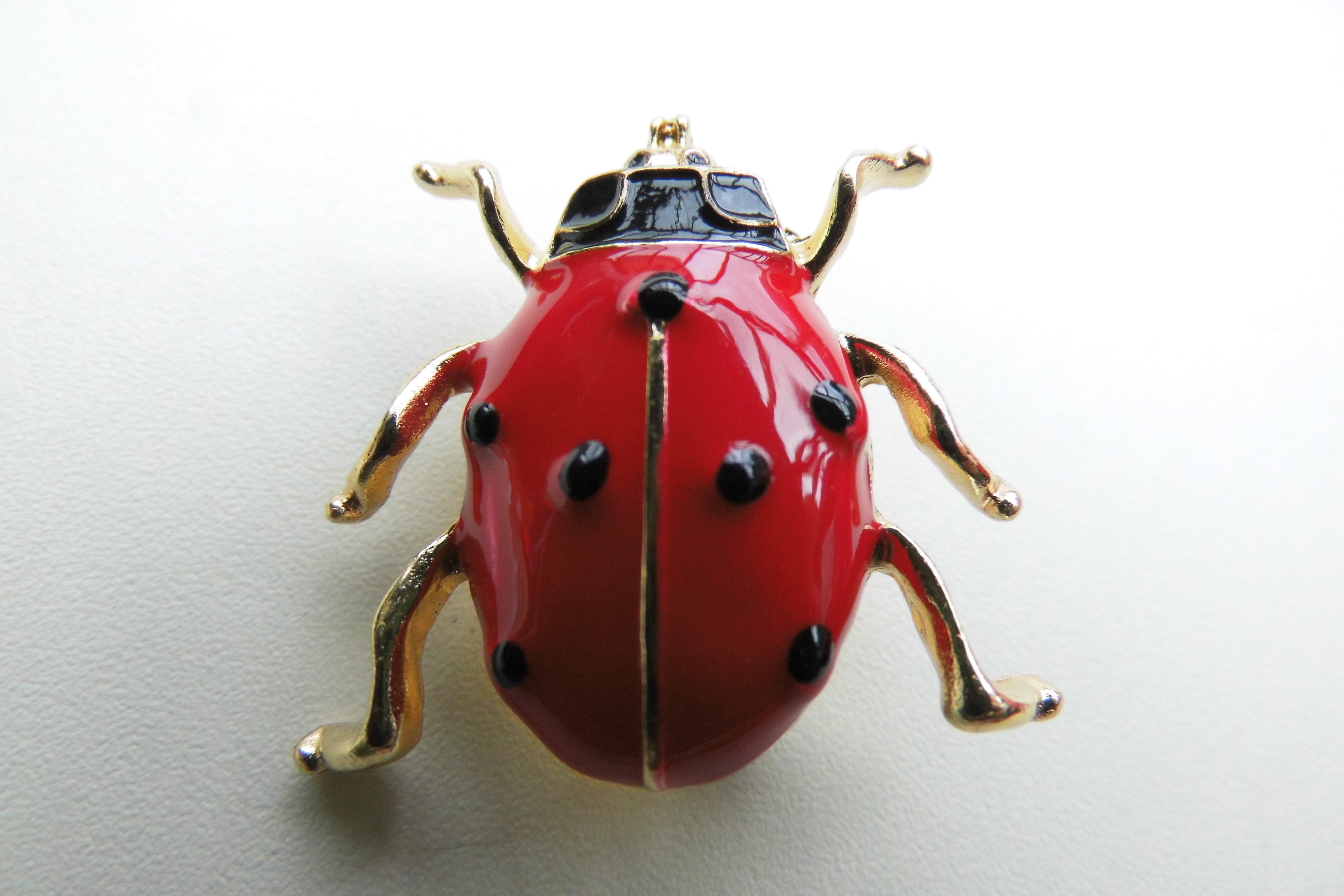 Broche lieveheersbeestje.