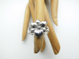 Zilveren lotus ring.