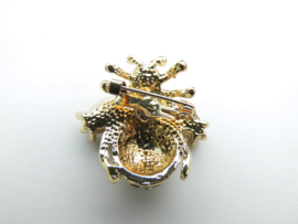 Broche bij