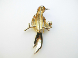 Broche vuur vogel.