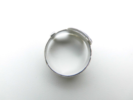 Zilveren gesp ring.