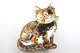 Broche bruine poes.