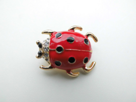 Broche lieveheersbeestje 1.