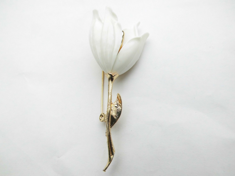Aanbevolen documentaire band Broche witte kelk bloem. | Broche's | brochewebshop.nl