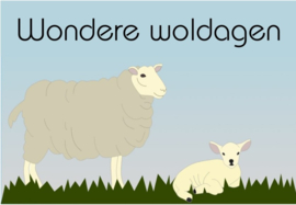 2 daagse cursus  kaarden|spinnen|vilten