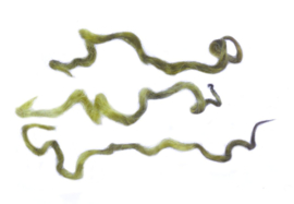 Wensleydale gesorteerd en gekamd - zomergroen - 5 gram