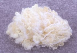 Blue faced Leicester longwool -  gesorteerd en gekamd - 10 gram