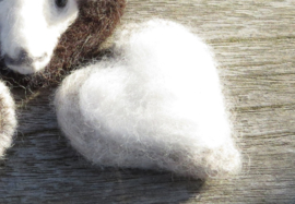 Viltproject: hartjeshanger - natuur