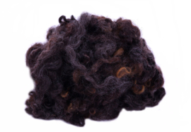 Leicester longwool coloured bruintinten - gesorteerd en gekamd - 10 gram