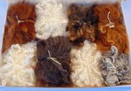 Assortimentsbox krullen en lokken - 80 gram - Alpaca, Angora en schapenwol