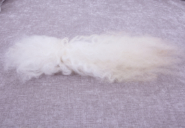 Lincoln Longwool (30 cm) naturel -  gesorteerd en gekamd - 20 gram