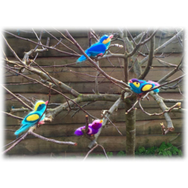 Vitproject: 2x2 vogeltjes - blauw/geel en groen/geel/paars