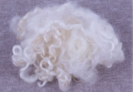 Wensleydale longwool -  gesorteerd en gekamd - 10 gram