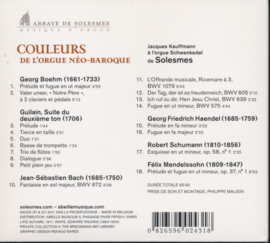 Solesmes | Couleurs de l'orgue néo-baroque
